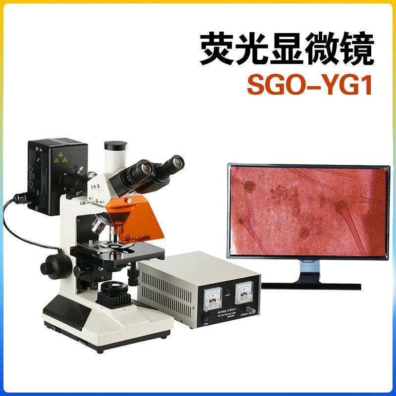 fluorescence microscope in colleges and universities sgo-yg1 microscope in colleges and universities can take photos to preserve creatures microscope