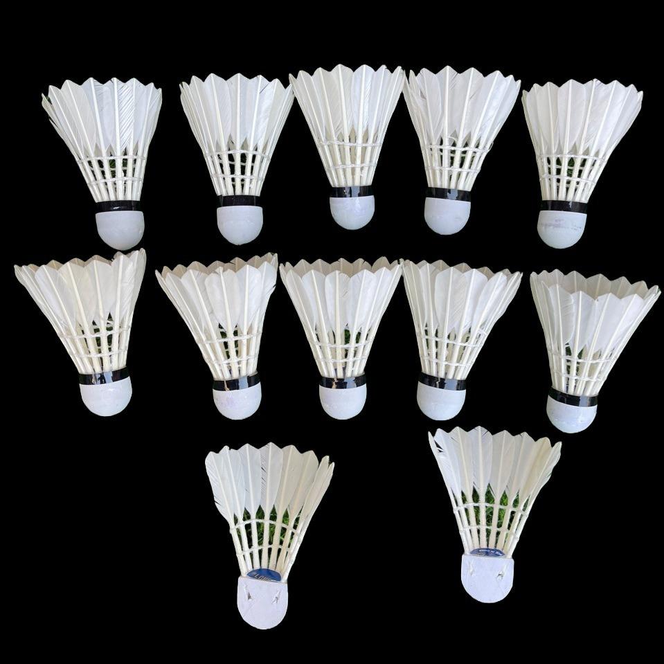 2024 hangyu resistant to playing badminton white duck feather shuttlecock 12 pcs training in stock wholesale for students and beginners Application Scenario