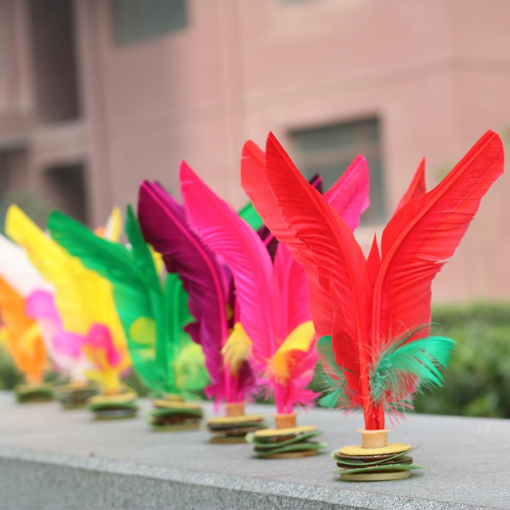 kick shuttlecock wholesale elementary school competition special large 17cm plastic goose feather girls' children's toys Application Scenario