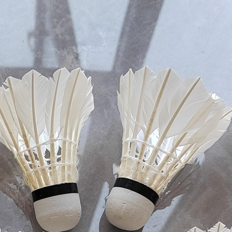 2024 hangyu resistant to playing badminton white duck feather shuttlecock 12 pcs training in stock wholesale for students and beginners Specification drawing