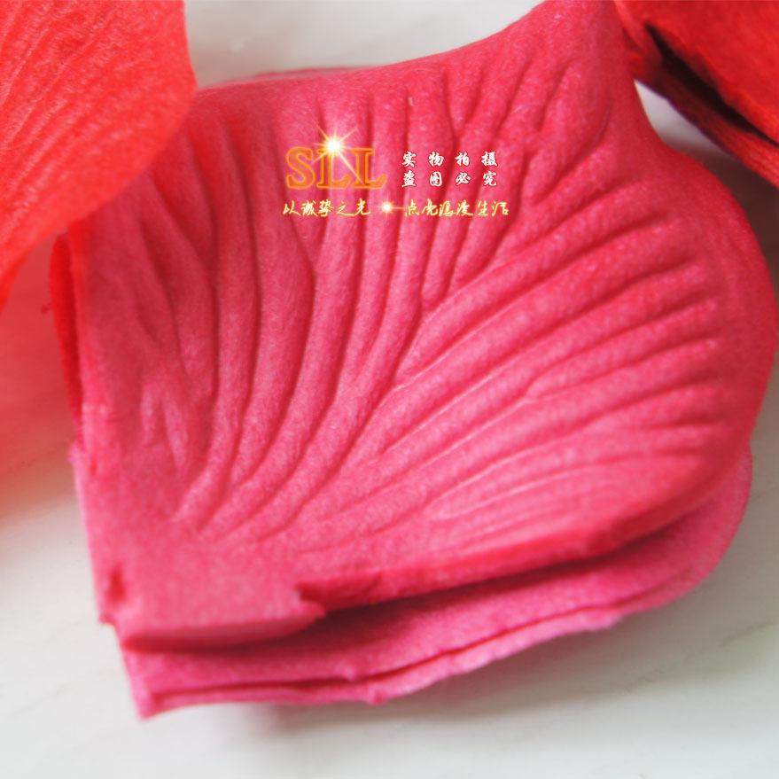 wholesale rose wedding petals for birthdays and valentine's days wedding decoration picture 100 pieces non-woven fabric rose petals details Picture