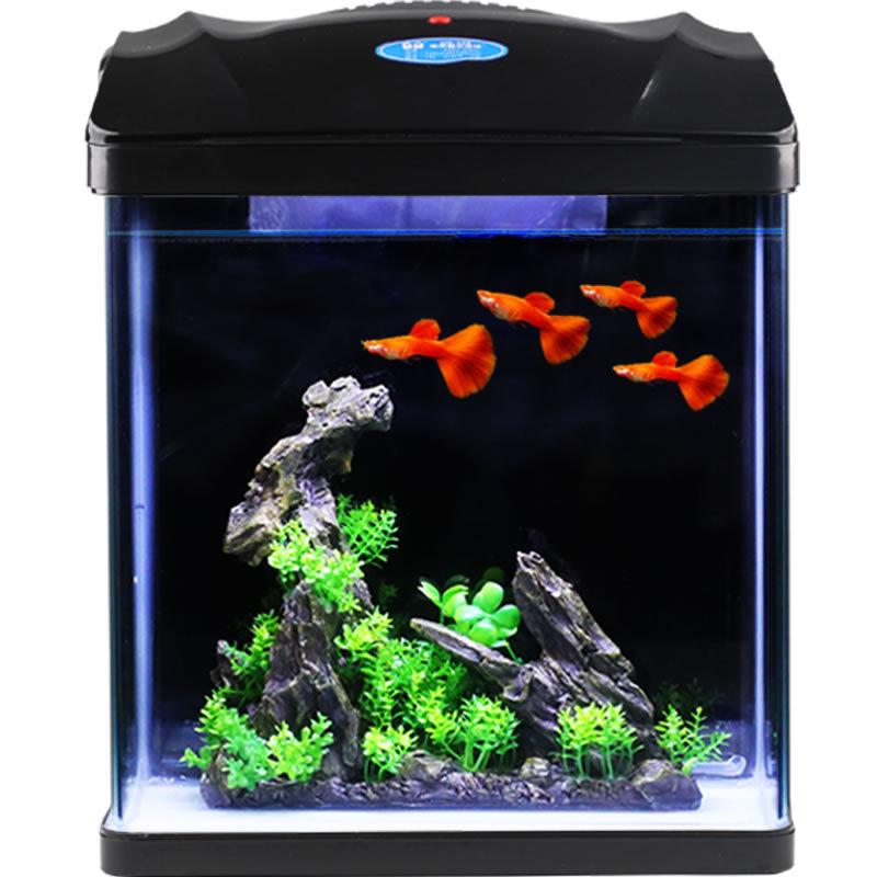 sunsun factory direct sales fish tank aquarium turtle jar fish globe creative small fish tank  ecological fish tank