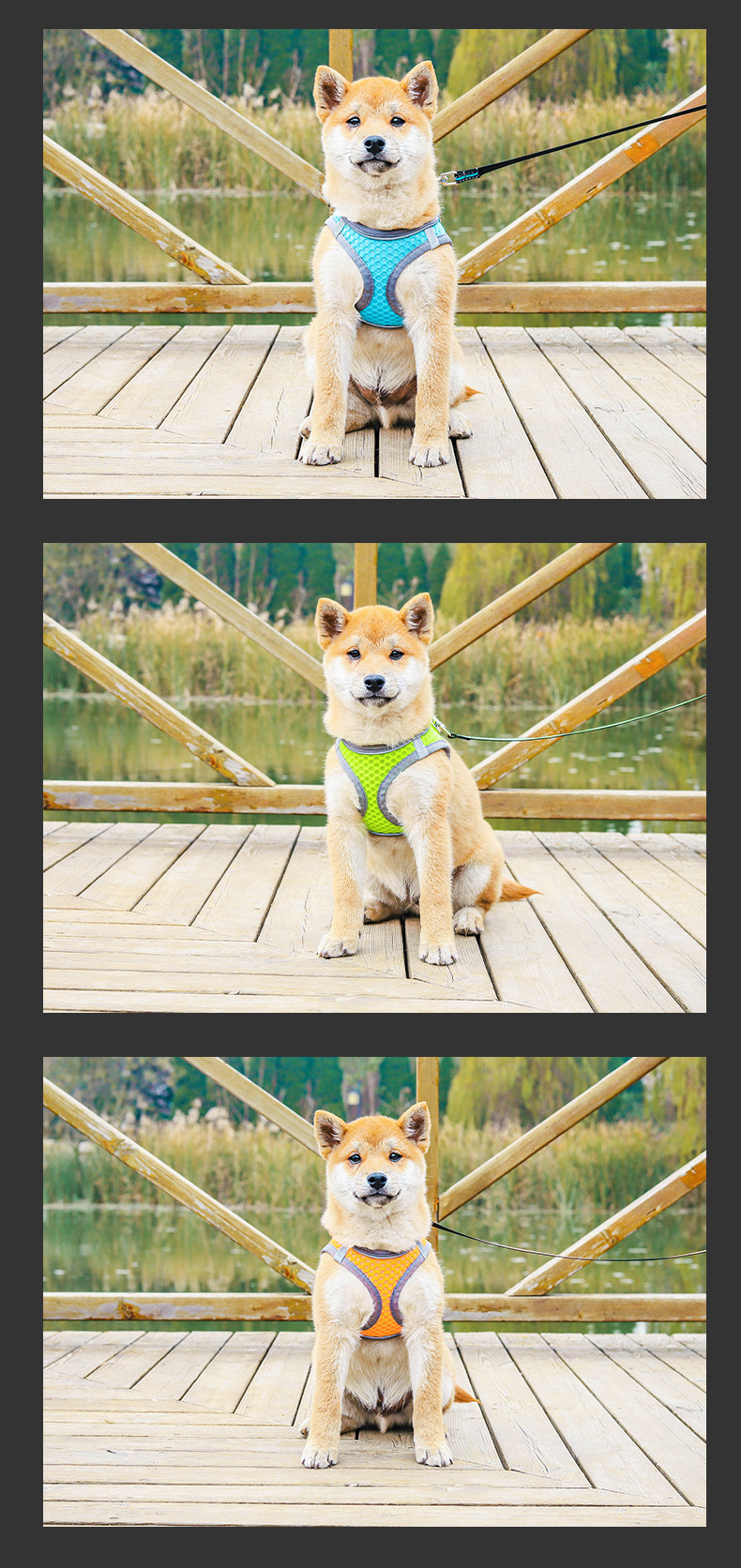 T Cross-border stock vest style dog leash for small and medium-sized dogs, cats and dogs, breathable mesh fabric pet chest and back pic 11
