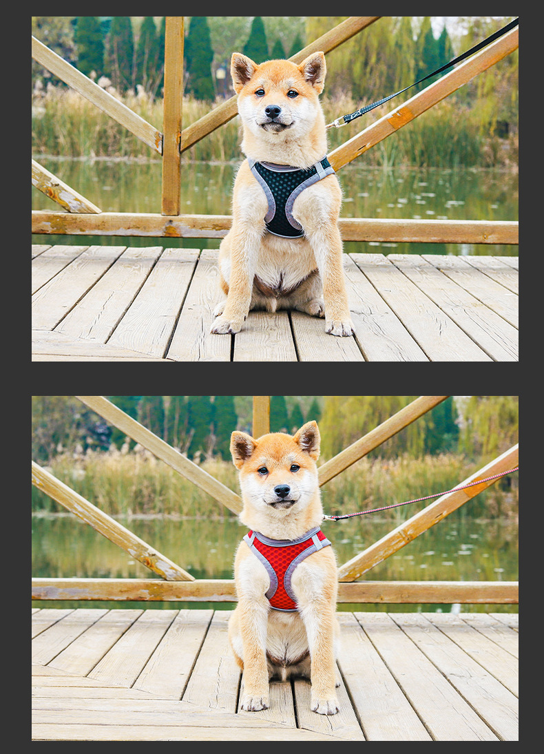 T Cross-border stock vest style dog leash for small and medium-sized dogs, cats and dogs, breathable mesh fabric pet chest and back pic 10