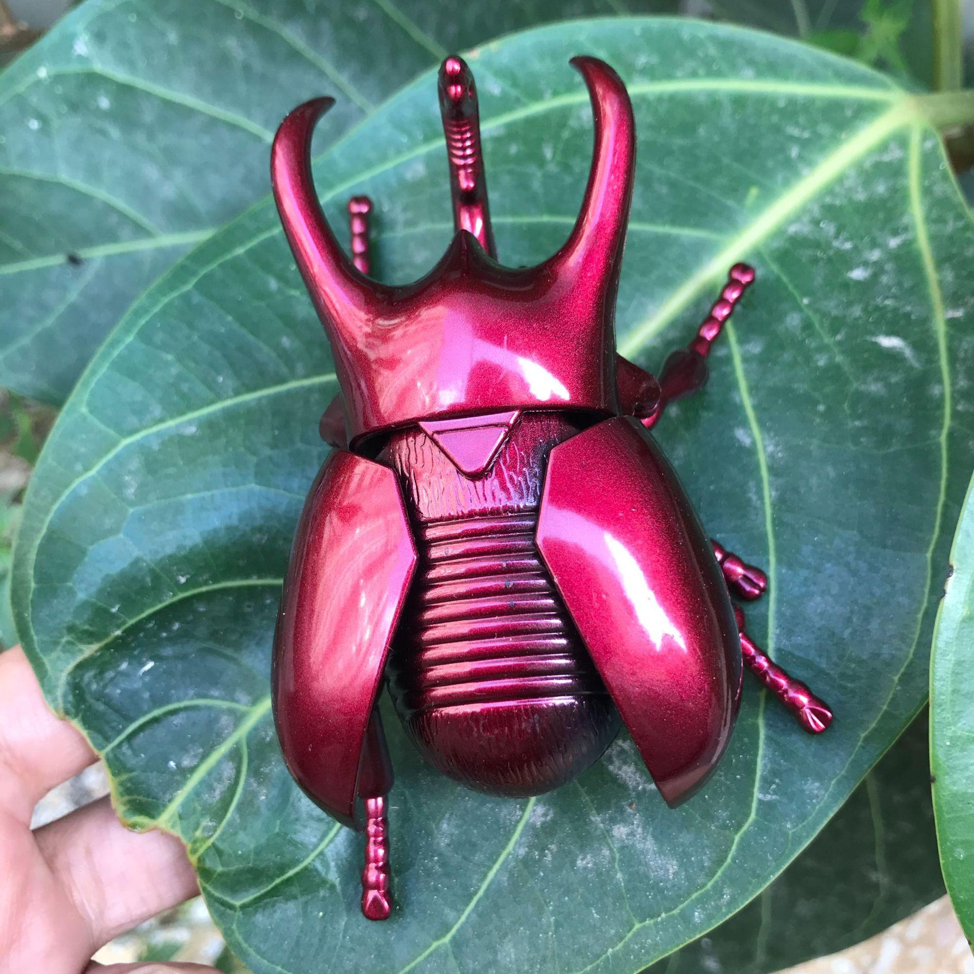 cross-border creative wind-up chain simulation fighting beetle naruto insect model children's observation educational toys Application Scenario