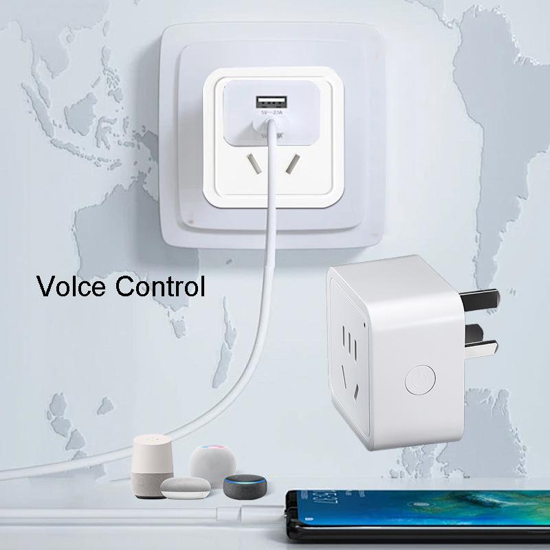 matter certified national standard smart socket apple samsung philips google amazon voice control plug Application Scenario