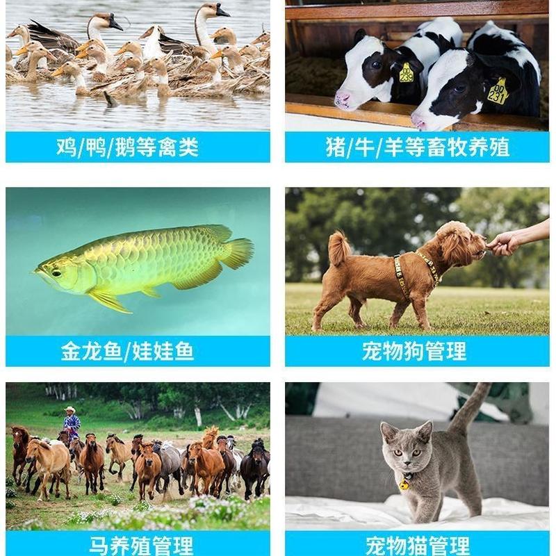 rfid pet chip scanner 134.2 chip detection query customs dog  animal chip barcode reader Item Picture