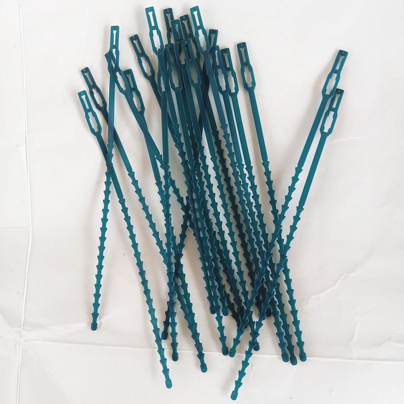 factory direct sales garden gardening fish bone spur tie 23cm long 20 pieces cable tie garden rope details Picture