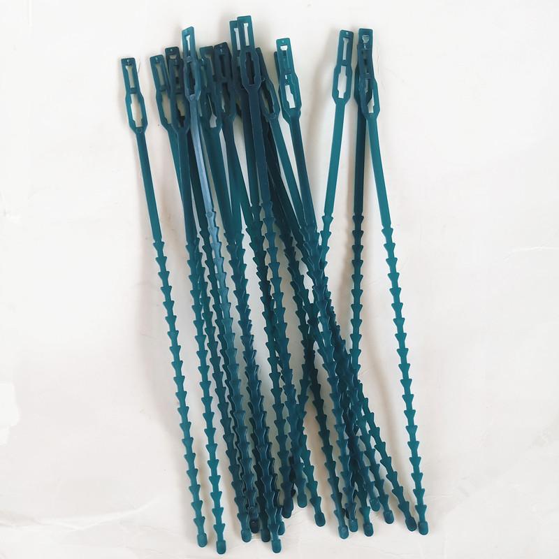 factory direct sales garden gardening fish bone spur tie 23cm long 20 pieces cable tie garden rope Application Scenario