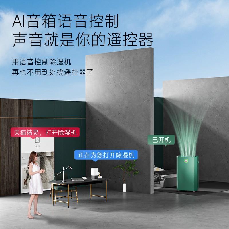 ognal ogona intelligent dehumidifier large area home basement villa dehumidifier industrial dehumidifier 60l Application Scenario