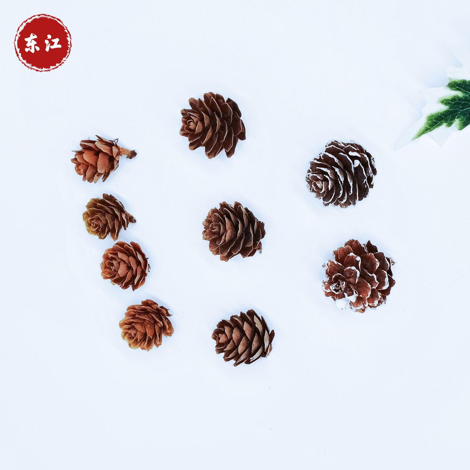 pine cone larch dried flower living room furnishings shooting props handmade diy flower arrangement ornament decoration home pine cone Application Scenario