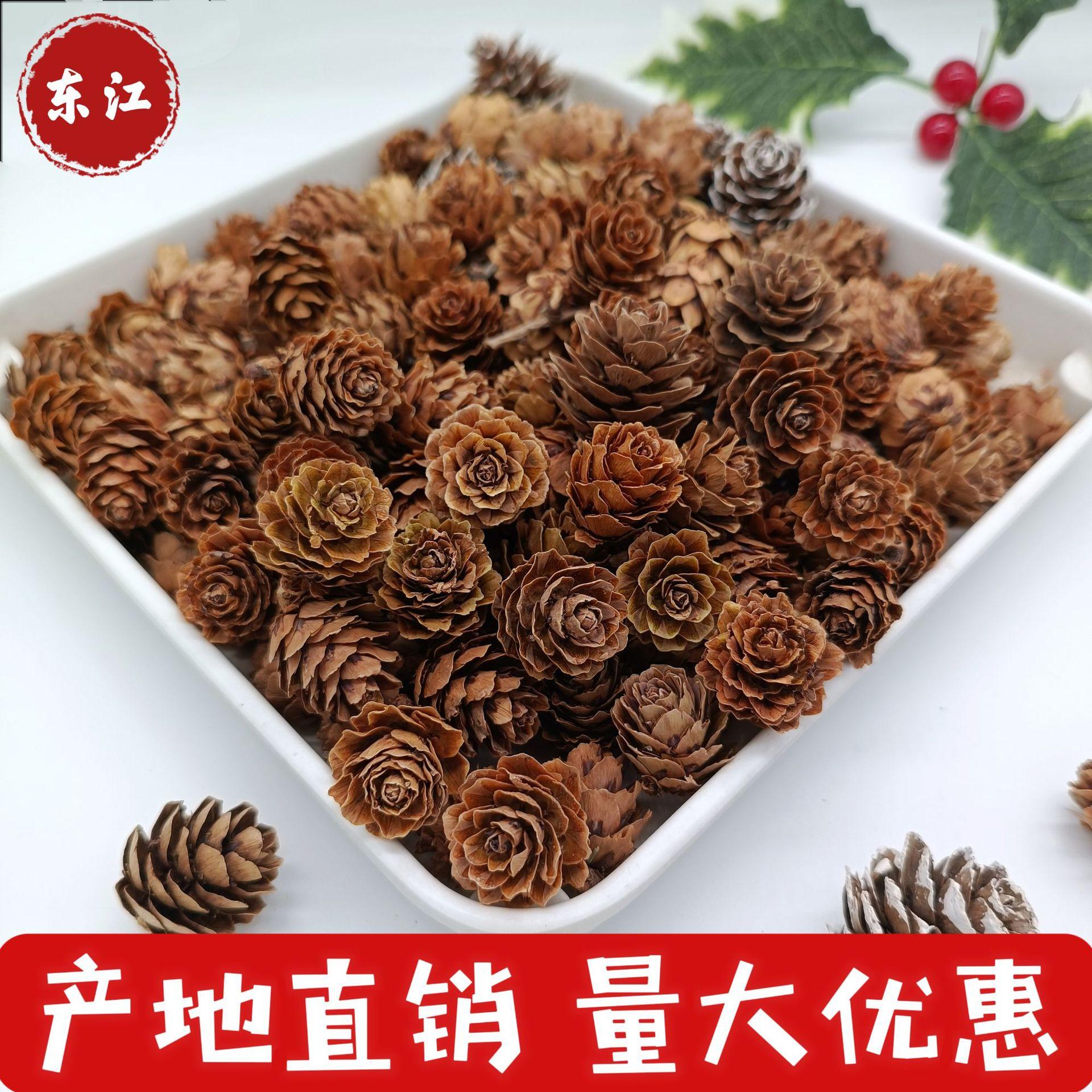 pine cone larch dried flower living room furnishings shooting props handmade diy flower arrangement ornament decoration home pine cone full figure