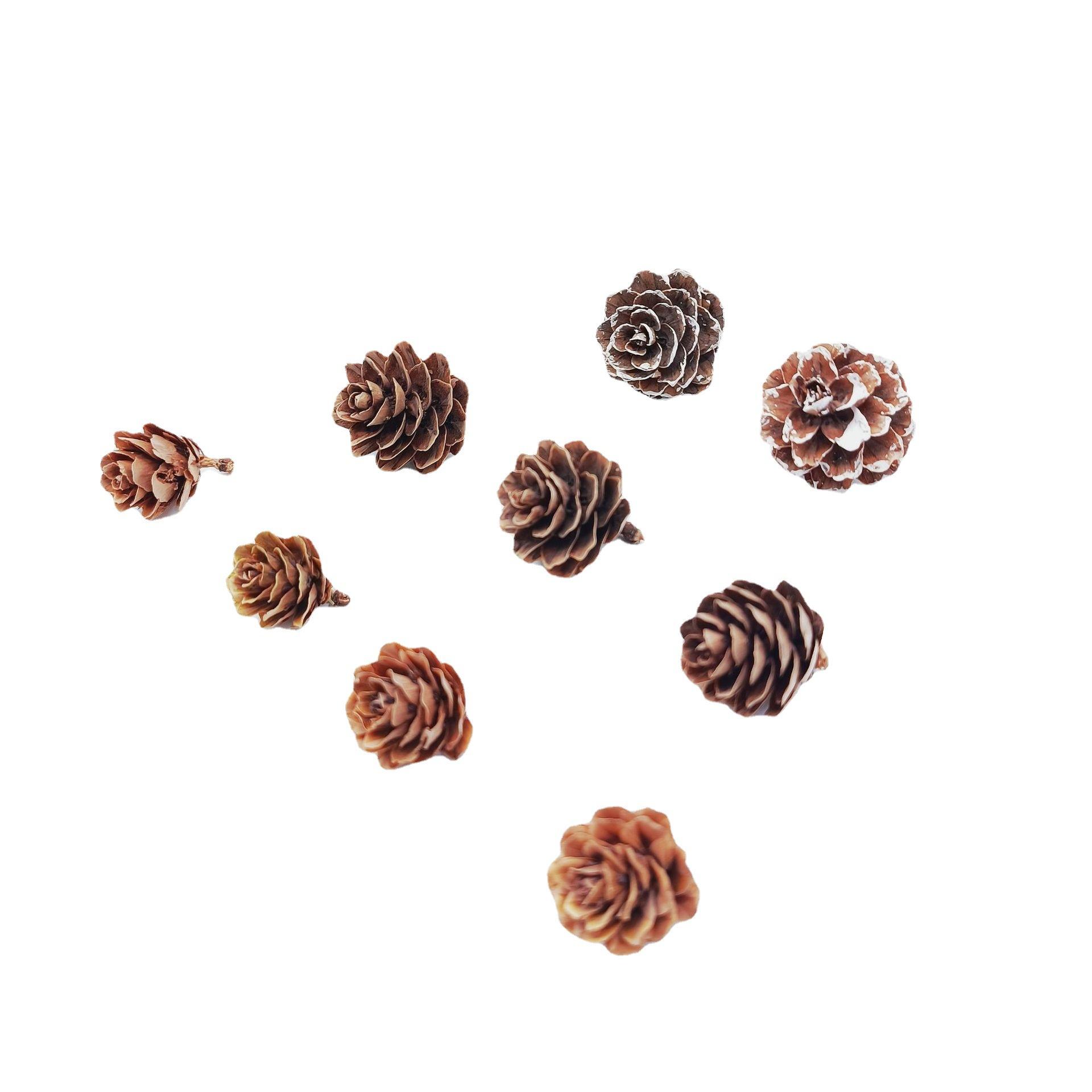 pine cone larch dried flower living room furnishings shooting props handmade diy flower arrangement ornament decoration home pine cone Item Picture
