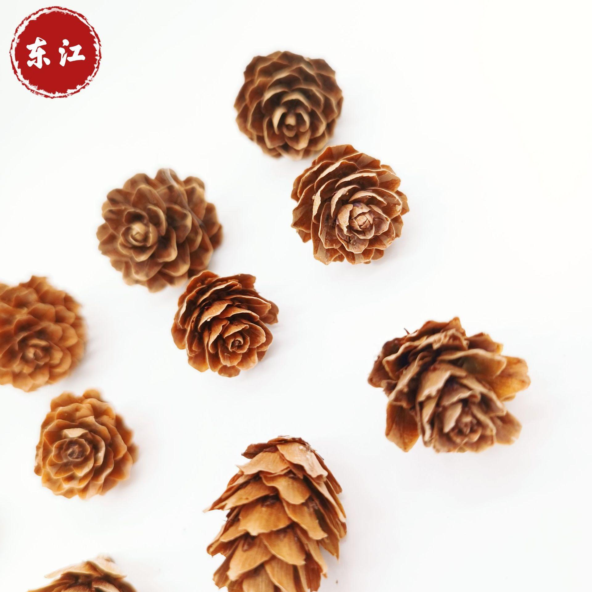 pine cone larch dried flower living room furnishings shooting props handmade diy flower arrangement ornament decoration home pine cone details Picture