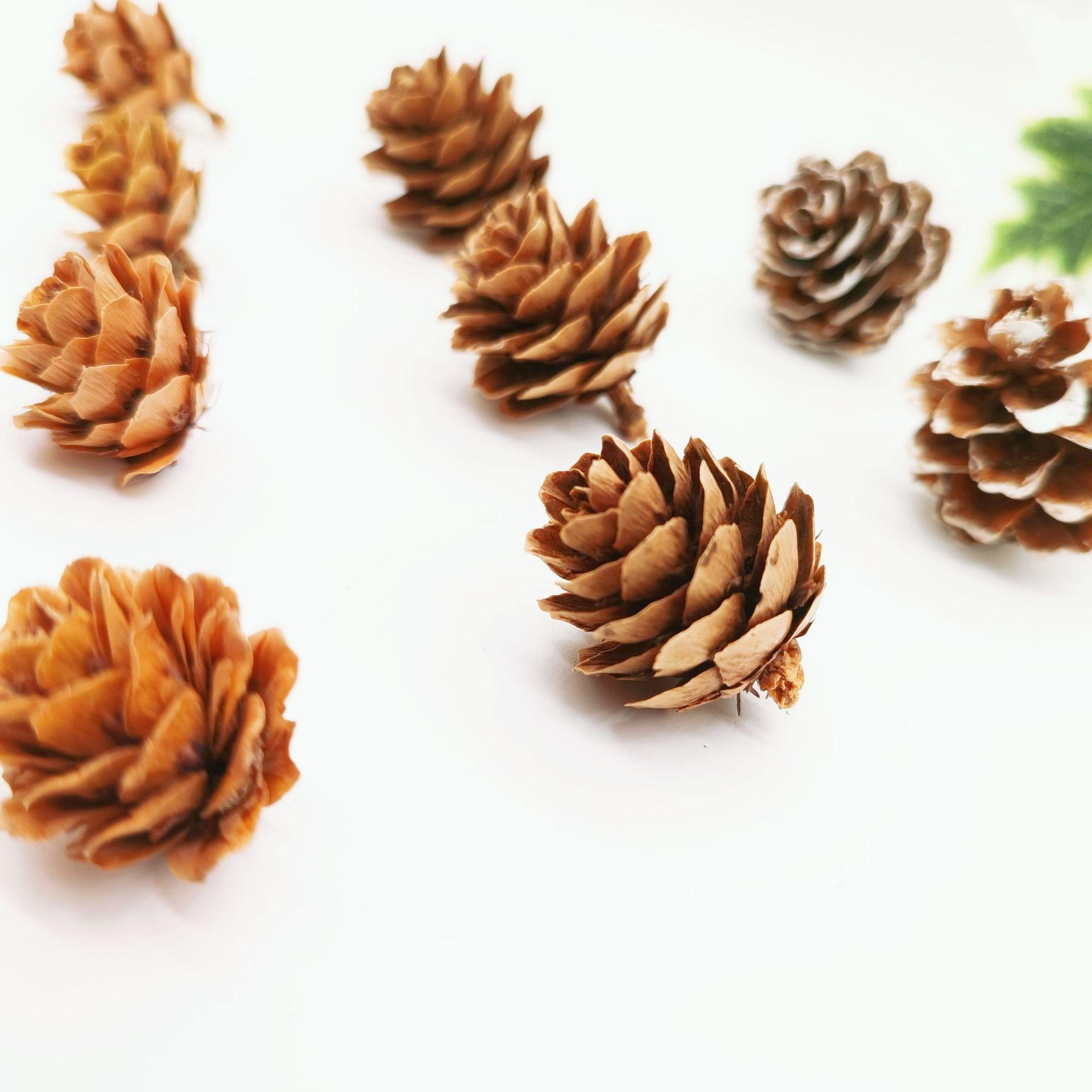 pine cone larch dried flower living room furnishings shooting props handmade diy flower arrangement ornament decoration home pine cone Specification drawing