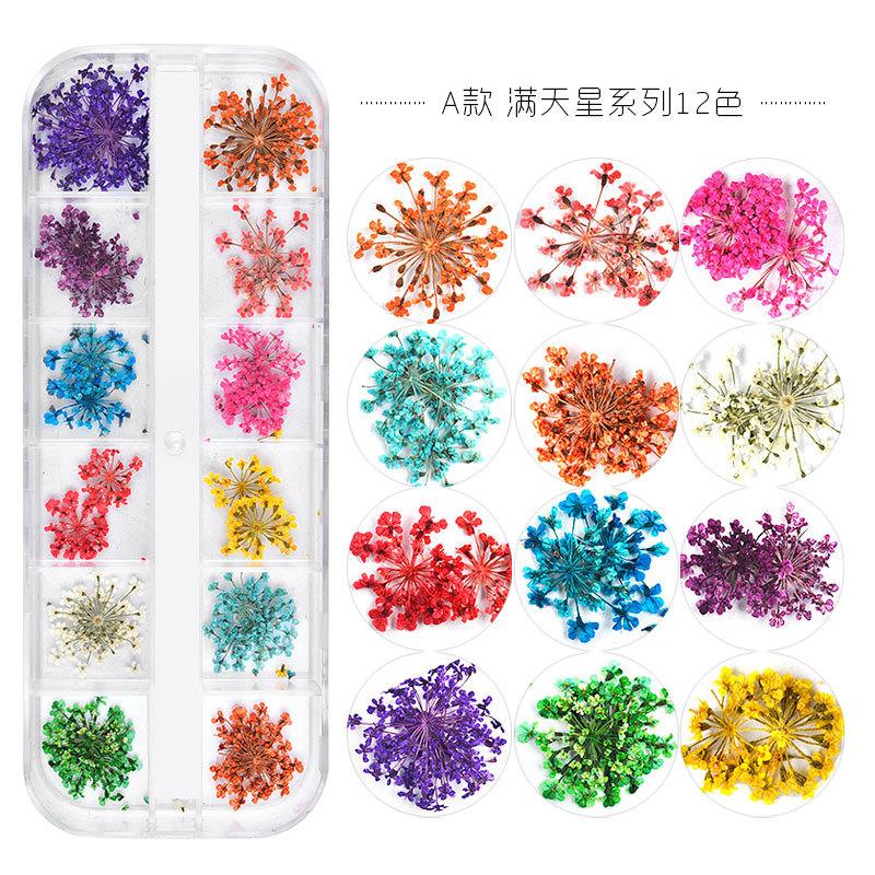 new japanese style nail dried flower 12 color tianxing sunflower little daisy 12 color dried flower box 24 flowers nail beauty dried flowers