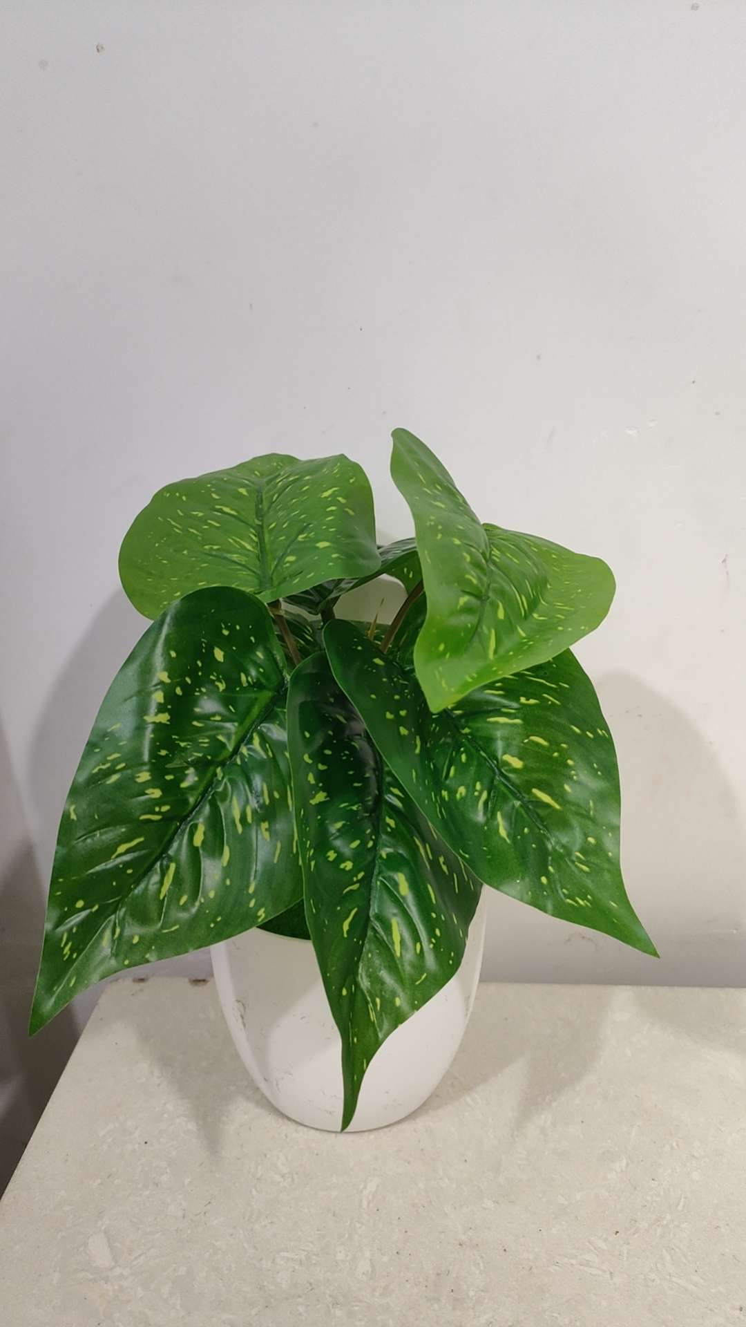 Small-leaf potted plant