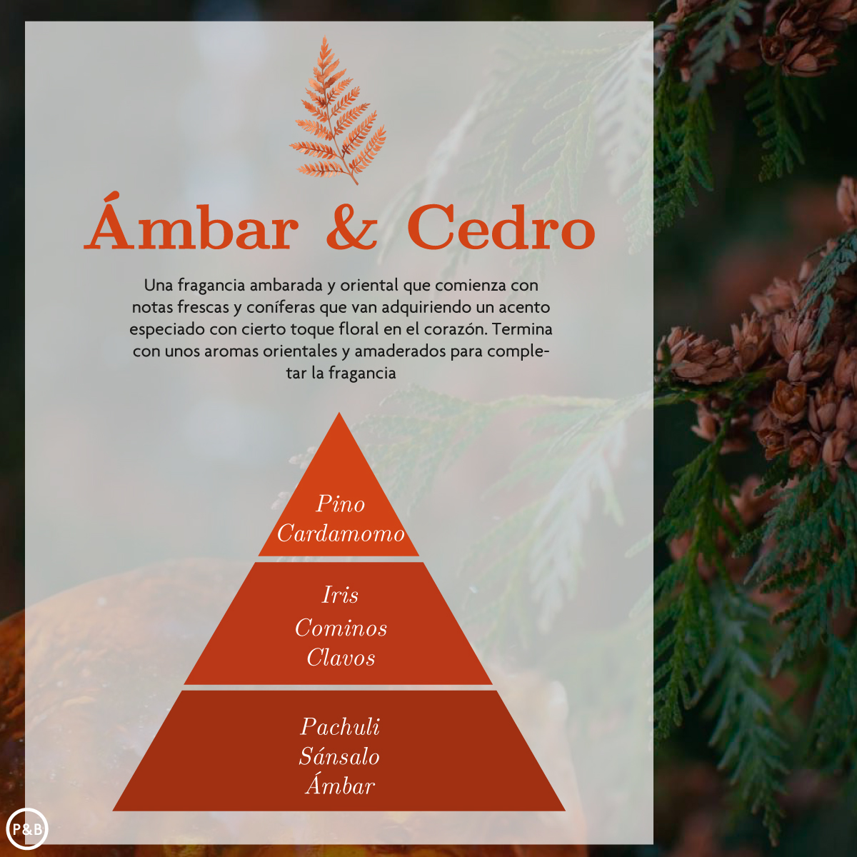 European brand AMBAR aromatherapy products are 100% imported in original packaging and exported in original order to Japan. We offer wholesale of aromatherapy products in stock. These include Zen tea aromatherapy, cedar aromatherapy, floral aromatherapy, indoor aromatherapy, flameless aromatherapy, and car aromatherapy Specification image