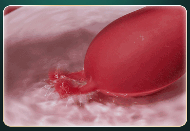 多频液体硅胶双头震动棒 电动女性自慰按摩成人情趣用品详情13