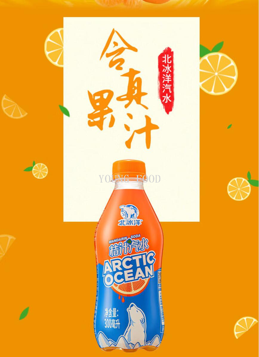 包邮！北冰洋桔汁汽水300ml 老北京果汁碳酸饮料网红汽水休闲食品详情4