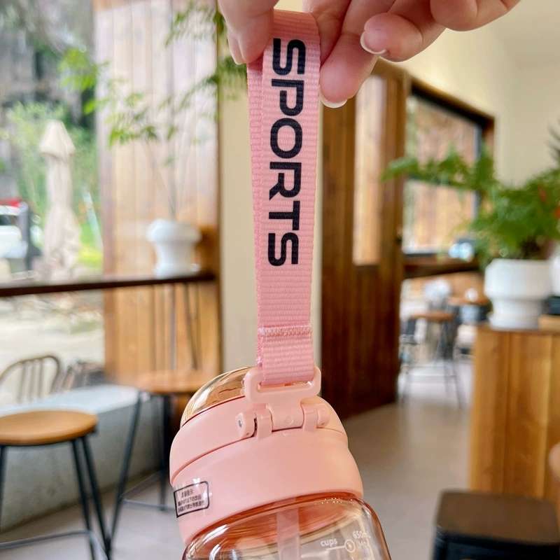 X152-XBD-6069 Explosion-resistant plastic cup with spring cap straw double drinking cup students outdoor sports portable summer fashion undefined