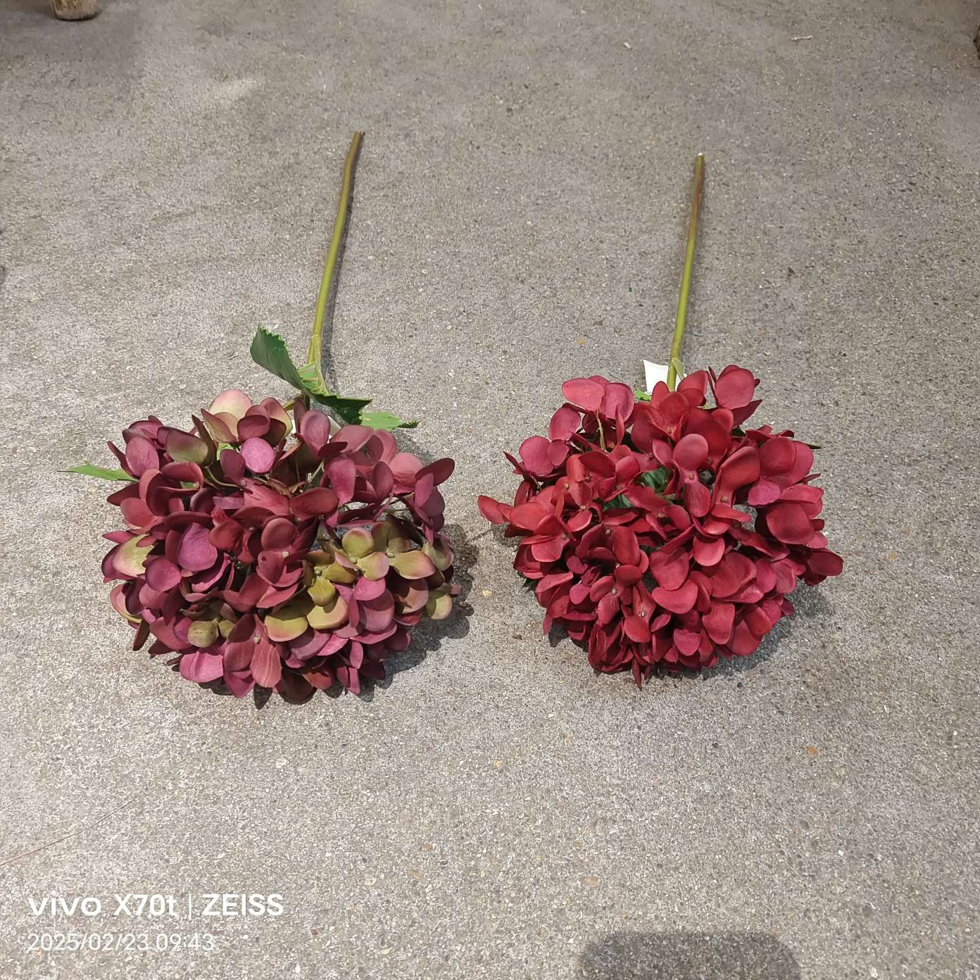 تزييف الزهور الحقيقية بواسطة بتلات المزخرفة المنزلية details Picture