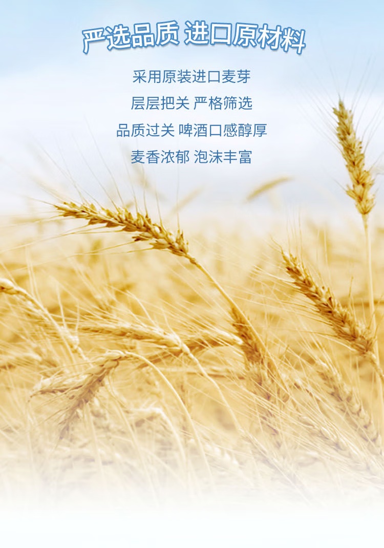 批发包邮！德国进口零食酒水西蒙小麦白啤酒500ml 手办休闲食品详情5