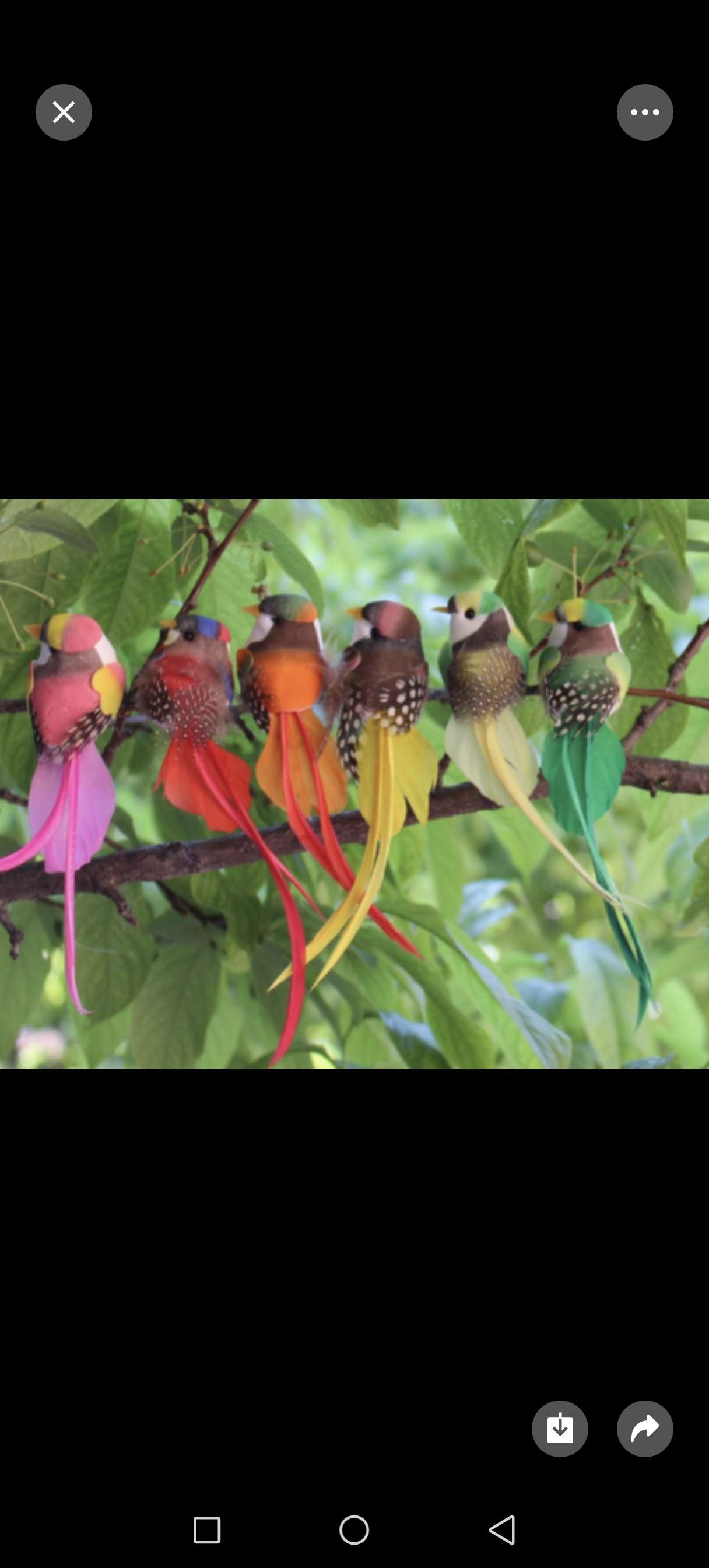 仿真羽毛小鸟园艺园林