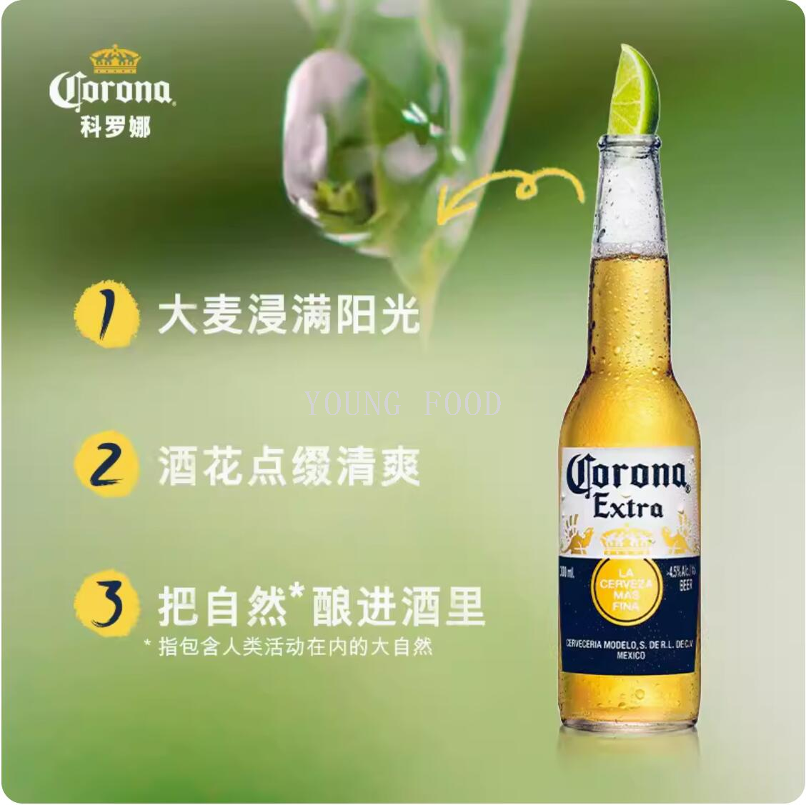 批发包邮！布拉姆手办零食酒精饮料墨西哥风味科罗娜啤酒330ml详情4