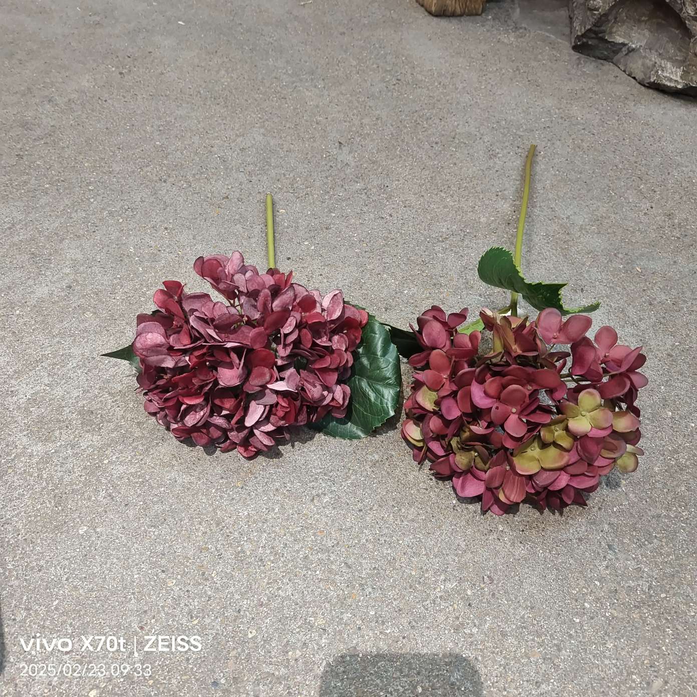 تزييف الزهور الحقيقية بواسطة بتلات المزخرفة المنزلية detail image 2