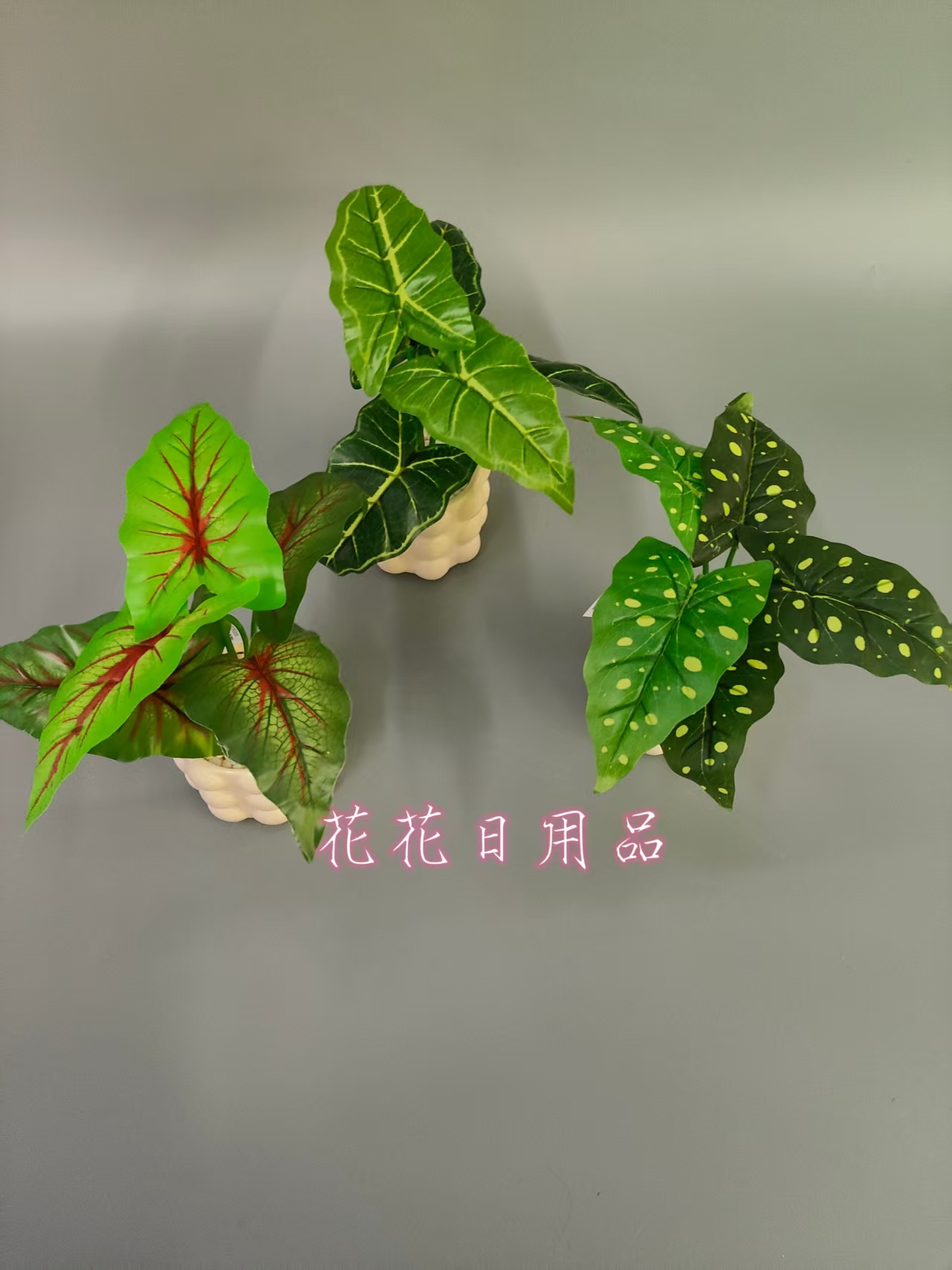 仿真植物吊兰/成人用品/鲜花生日礼物/摆件/玫瑰花假花产品图