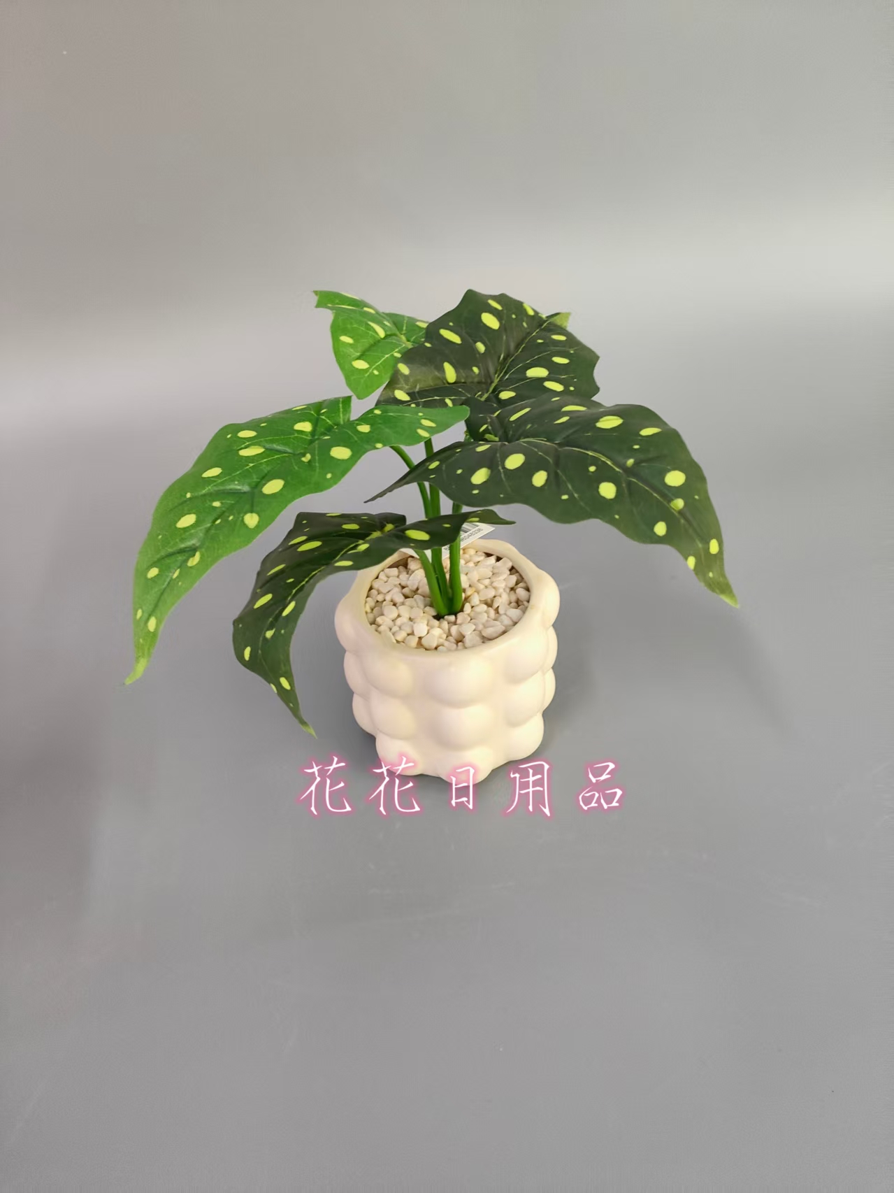 仿真植物实物图