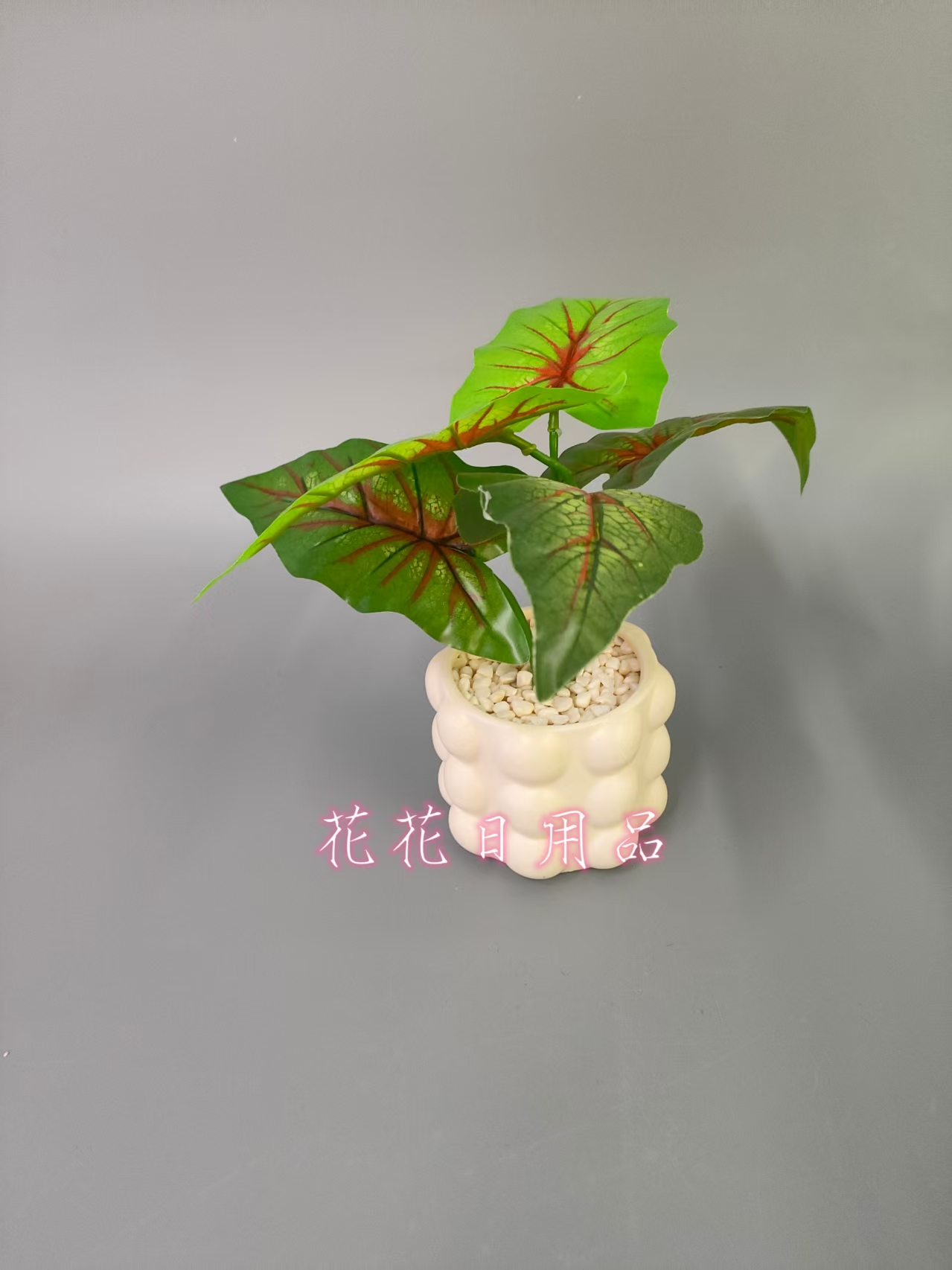 仿真植物吊兰/成人用品/鲜花生日礼物/摆件/玫瑰花假花白底实物图