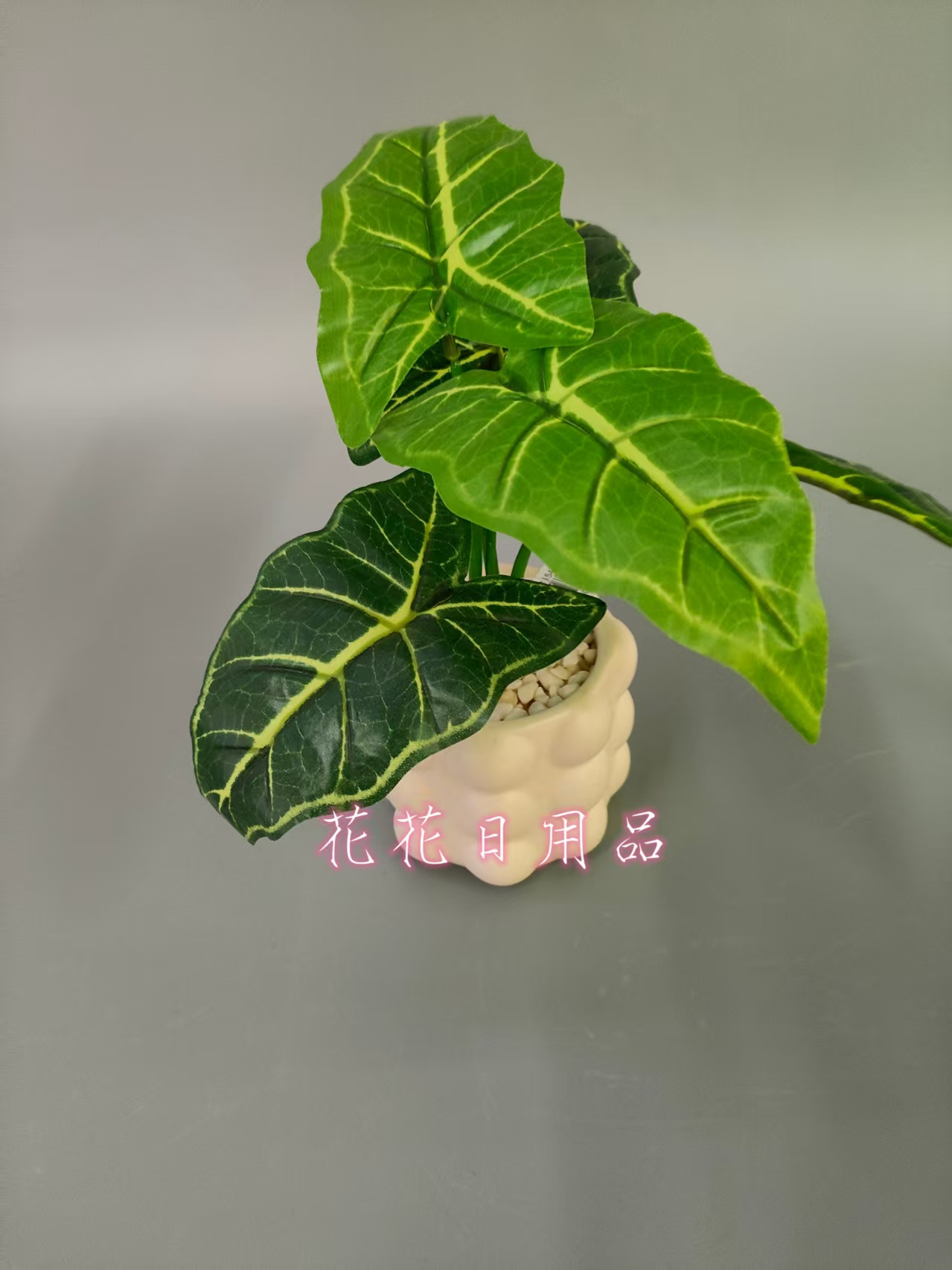 仿真植物吊兰/成人用品/鲜花生日礼物/摆件/玫瑰花假花细节图