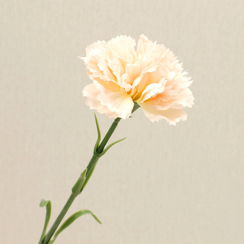 手工花材料/塑料花/仿真花/手工diy仿真花材料/苔藓产品图