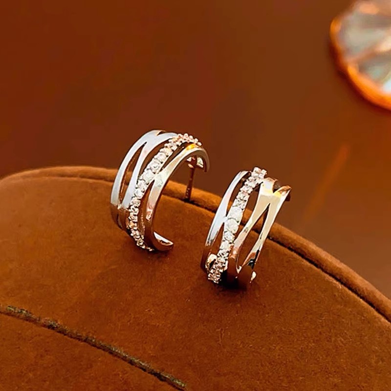 Women's light luxury, niche, slightly diamond-encrusted, high-end autumn and winter stud earrings, 2024 new style Specification image