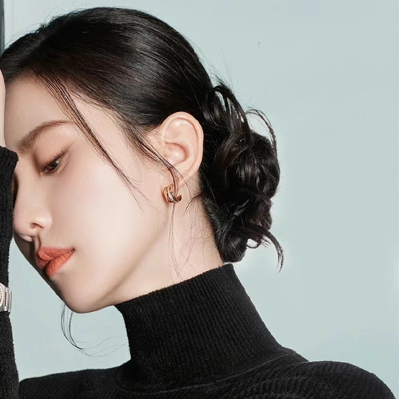 Women's light luxury, niche, slightly diamond-encrusted, high-end autumn and winter stud earrings, 2024 new style details Picture
