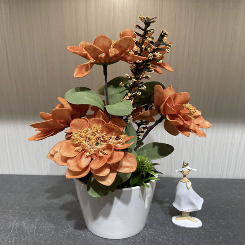 种子/种植小盆栽/手工针织花/种植/苗圃产品图