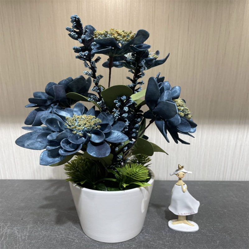 种子/种植小盆栽/手工针织花/种植/苗圃细节图
