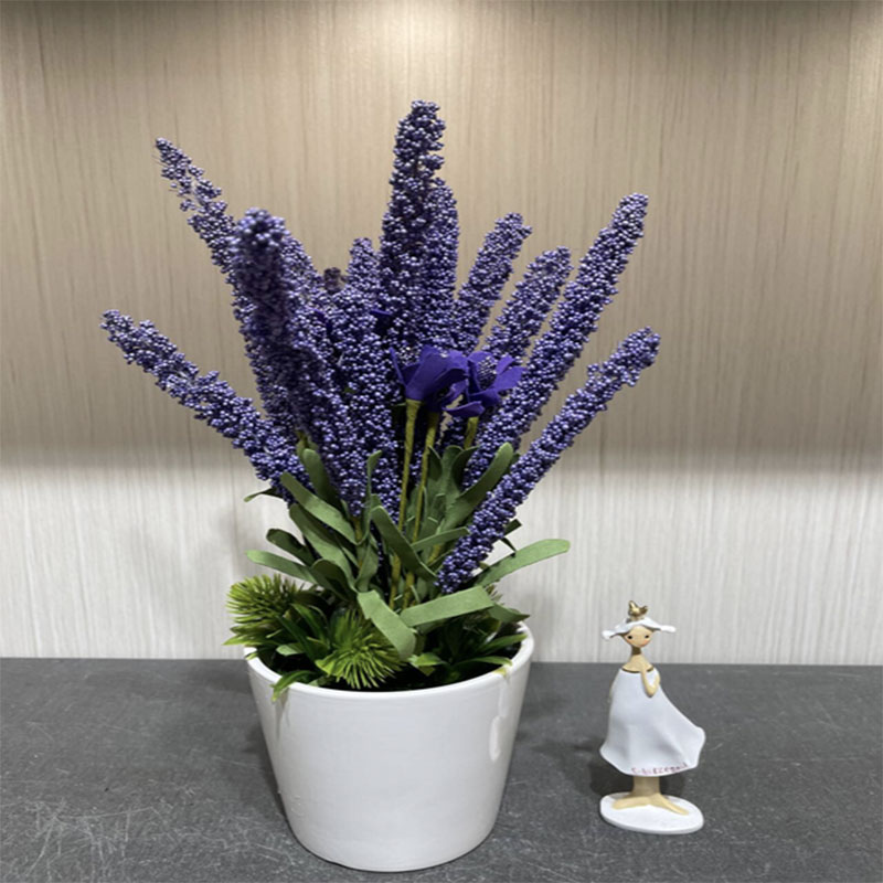 种子/种植小盆栽/手工针织花/种植/苗圃细节图