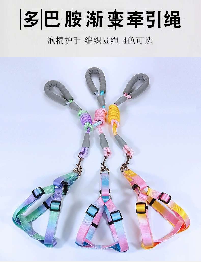 宠物用品牵引绳渐变色跨境爆款狗狗背心胸背带狗链狗绳工厂直销详情图3