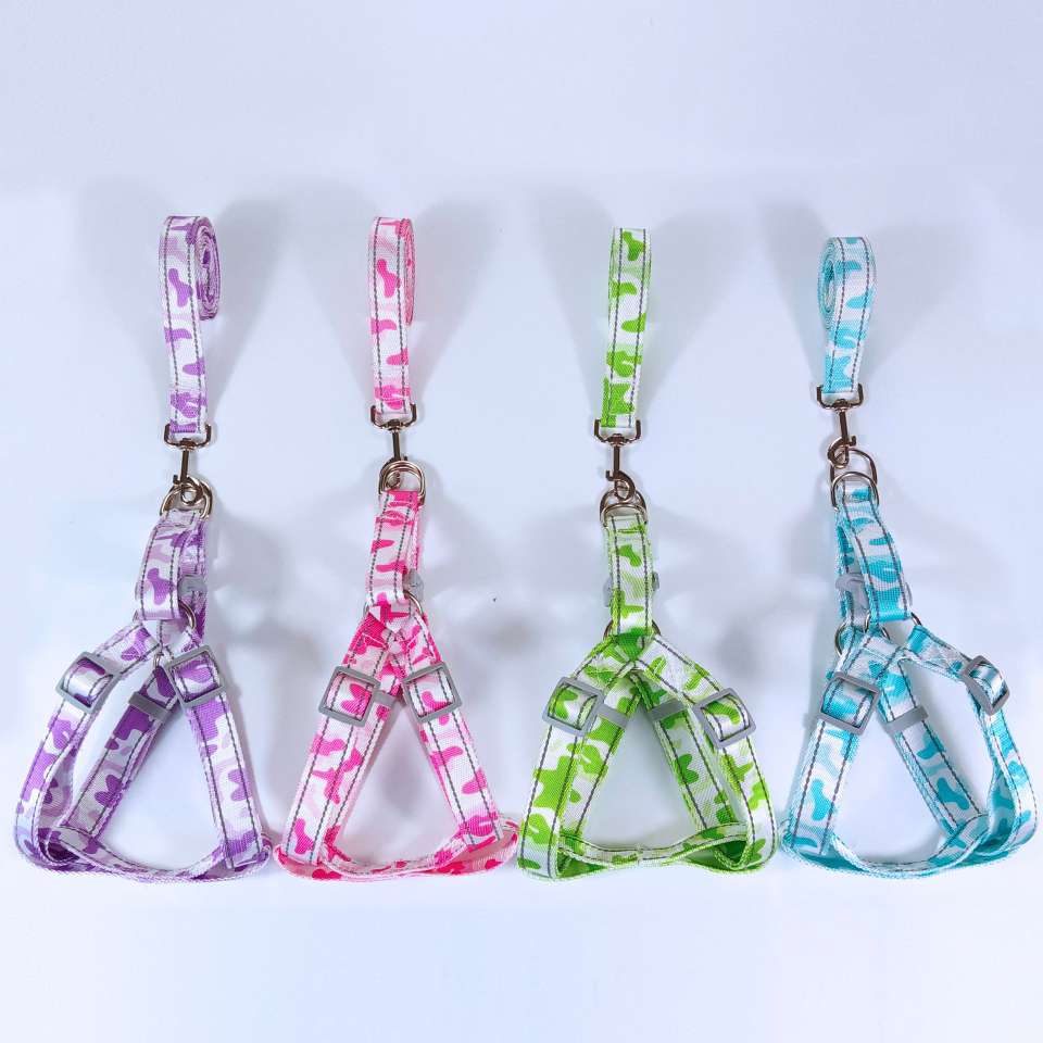 宠物用品狗胸背牵引宠物遛狗绳撞色胸背带猫咪背心式牵引套装新款