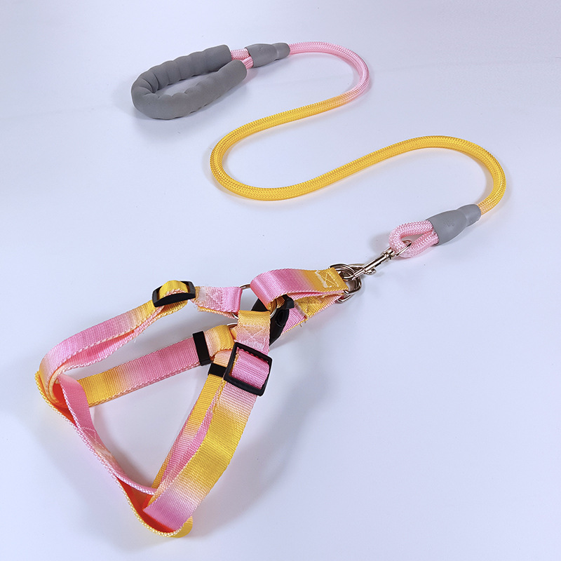 宠物用品牵引绳渐变色跨境爆款狗狗背心胸背带狗链狗绳工厂直销产品图