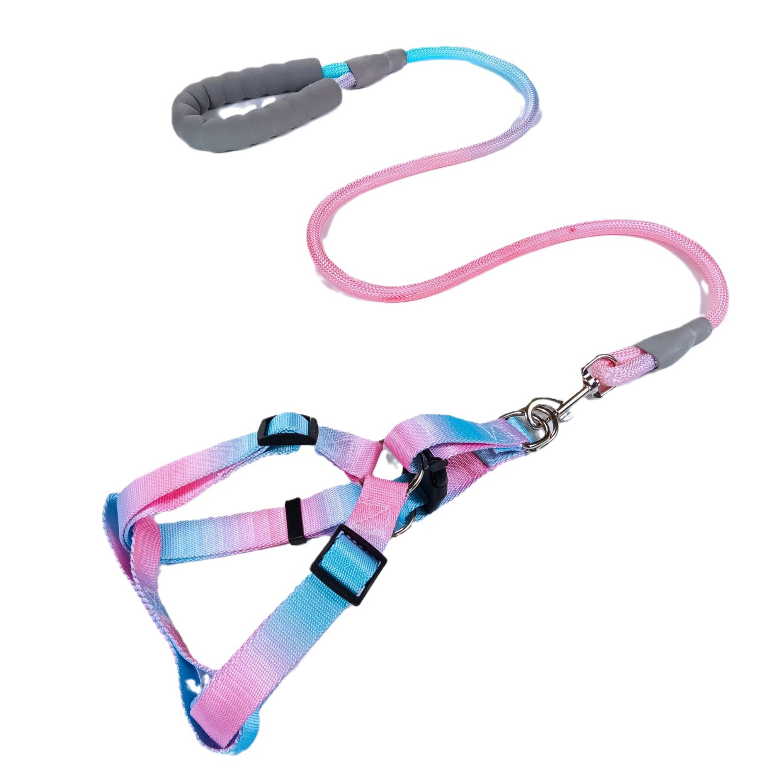 狗狗服装实物图