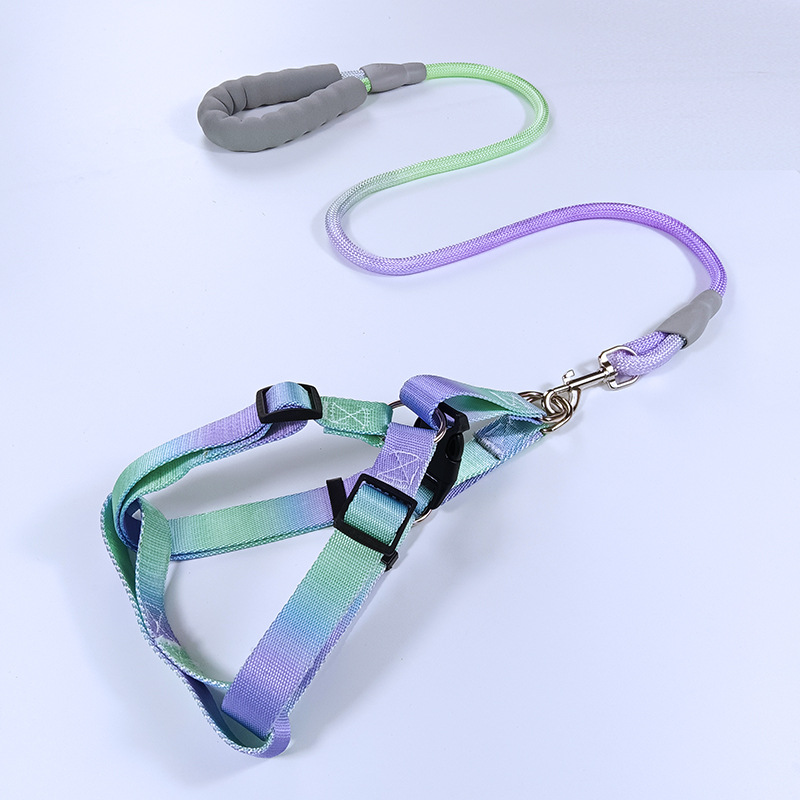 宠物用品牵引绳渐变色跨境爆款狗狗背心胸背带狗链狗绳工厂直销细节图