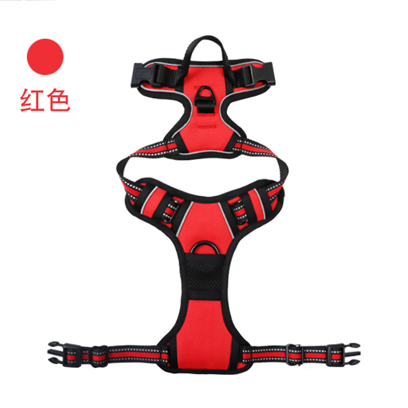 狗狗牵引实物图