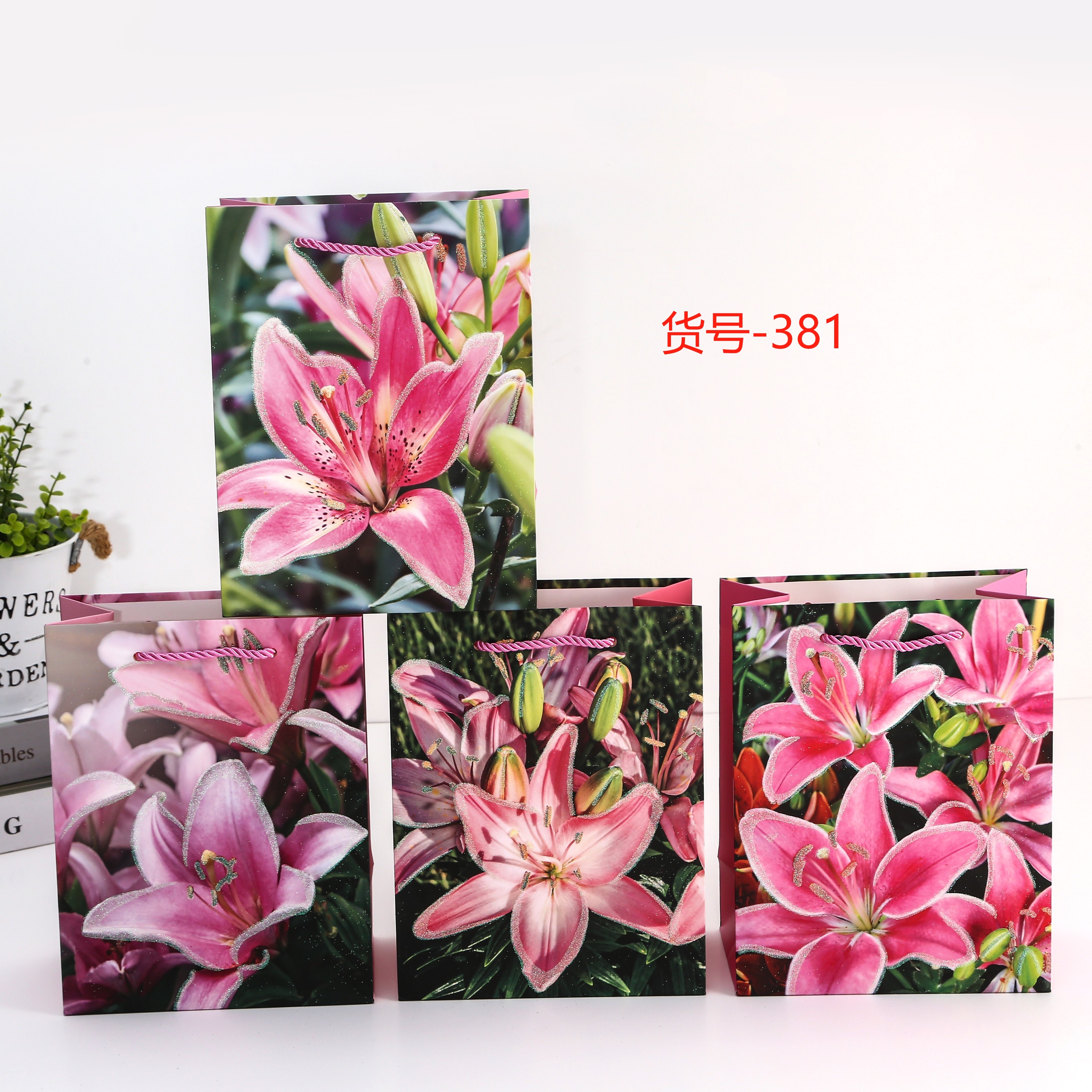纸质礼品袋   烫金  烫银印花  印花包装礼袋