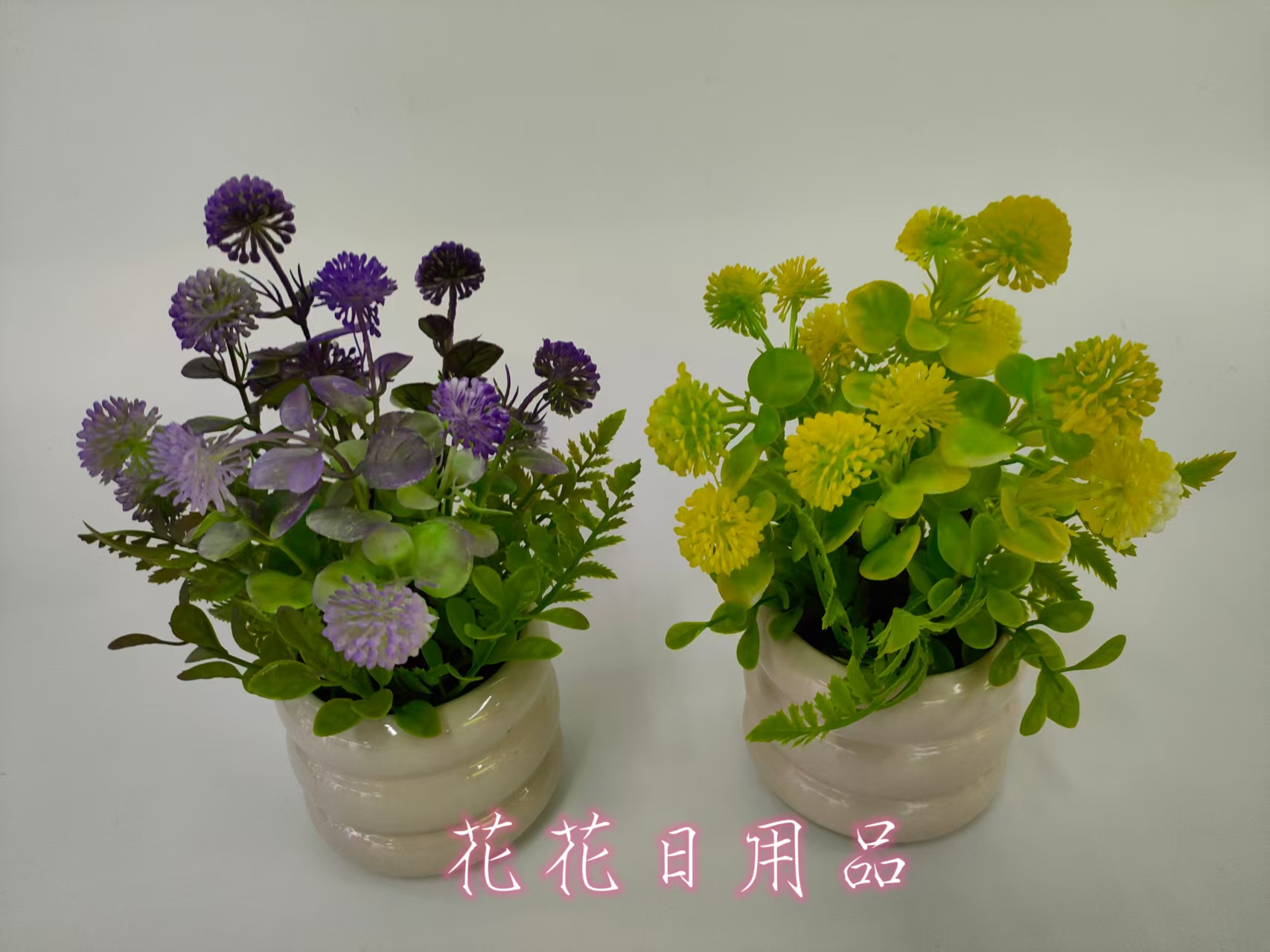 种植小盆栽/种子/盆栽/手工针织花/种植产品图