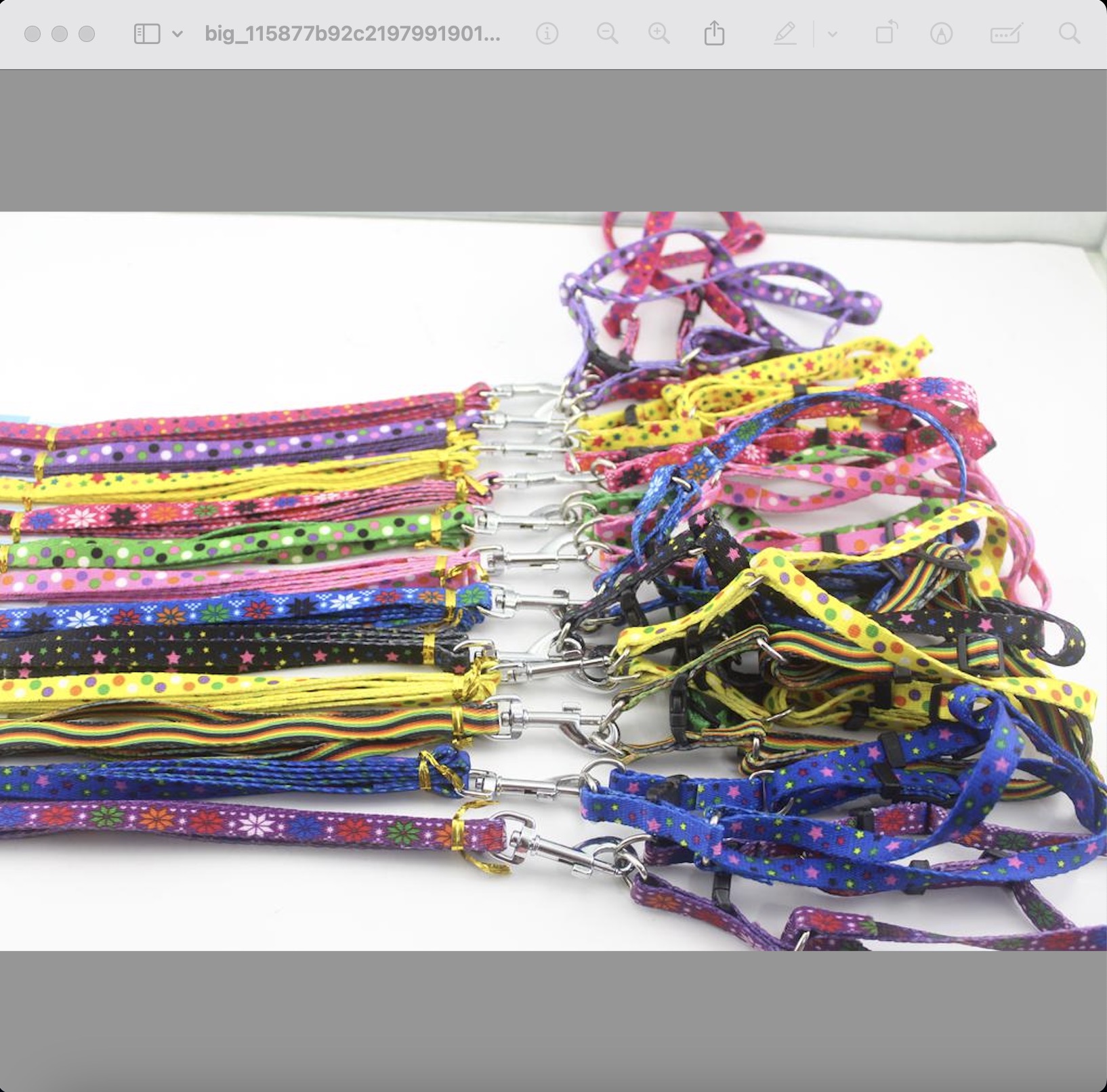 宠物1.5cm*1.2M牵绳+熊背 12条/卡 一卡混色