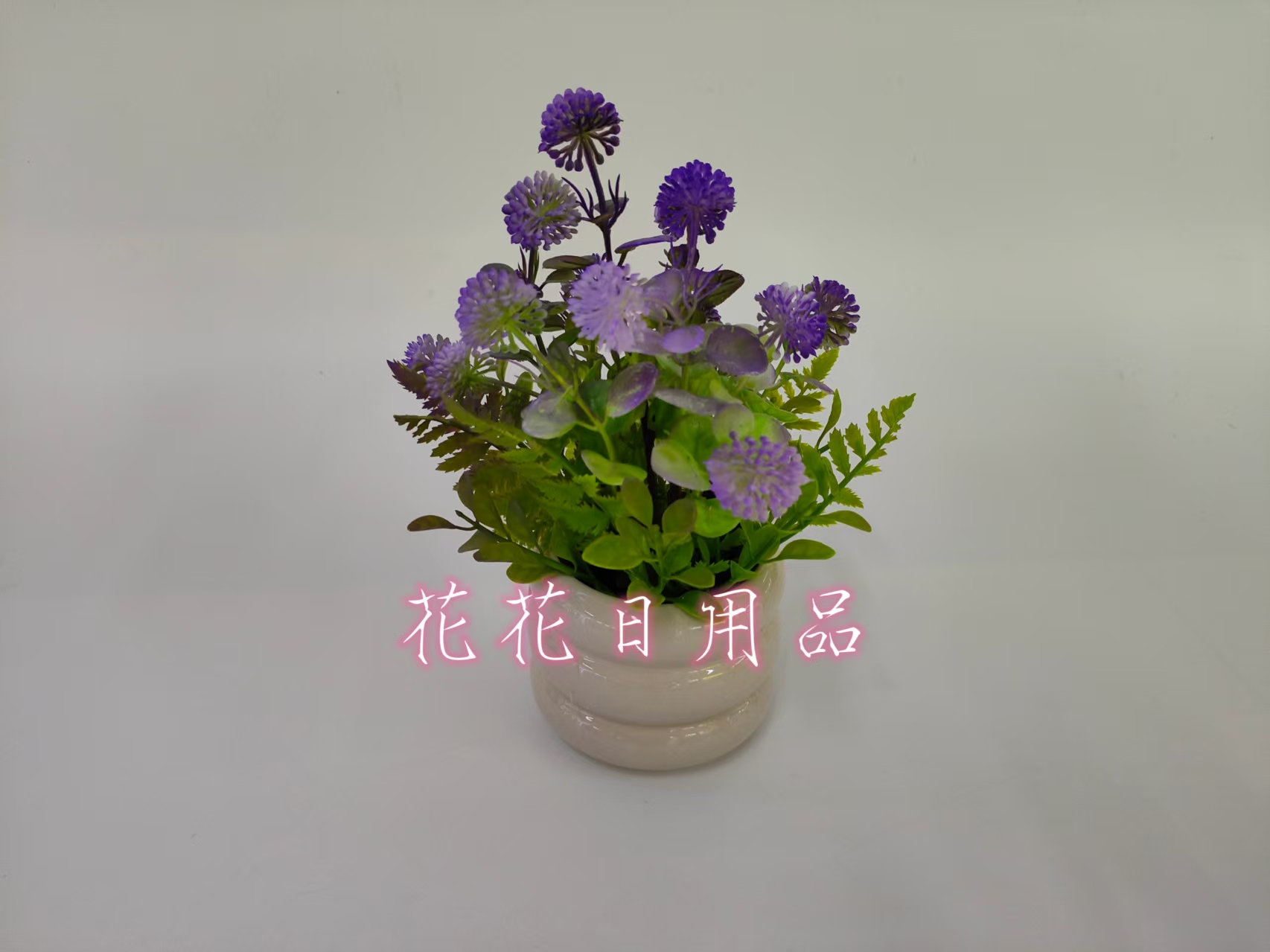 种植小盆栽/种子/盆栽/手工针织花/种植白底实物图